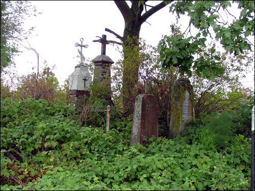 Негневичи. Кладбище старое