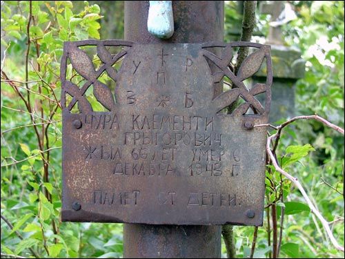 Негневичи. Кладбище старое