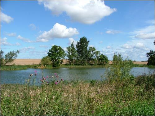 Кальчычы. Сядзіба 