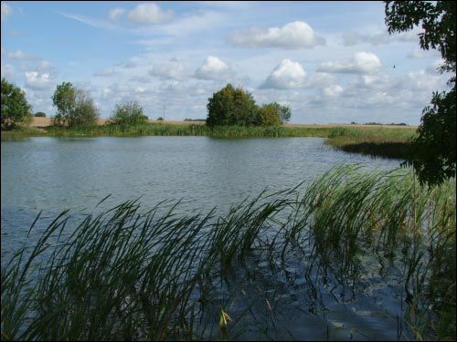 Кальчычы. Сядзіба 