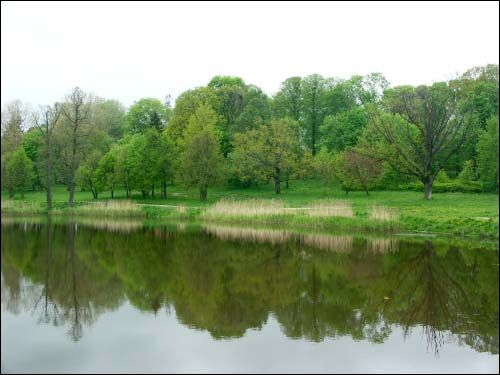  - Прысядзібны парк . Куток парку