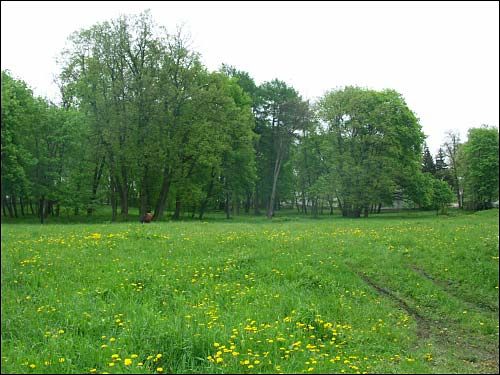  - Прысядзібны парк . Куток парку