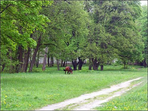 Мір. Прысядзібны парк 