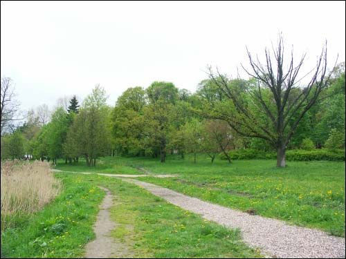  - Прысядзібны парк . Куток парку