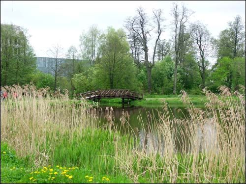  - Прысядзібны парк . Куток парку