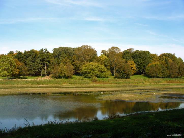  - Manor park . 