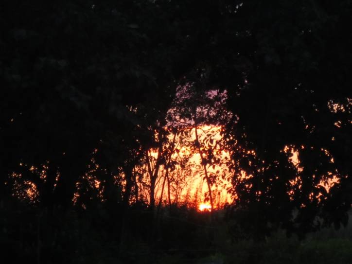 Мір. Краявіды