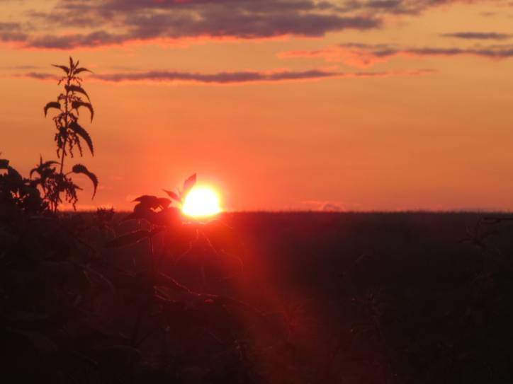 Мір. Краявіды