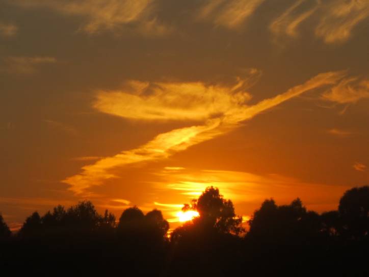 Мір. Краявіды