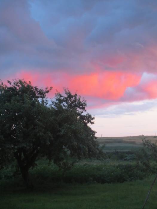 Мір. Краявіды