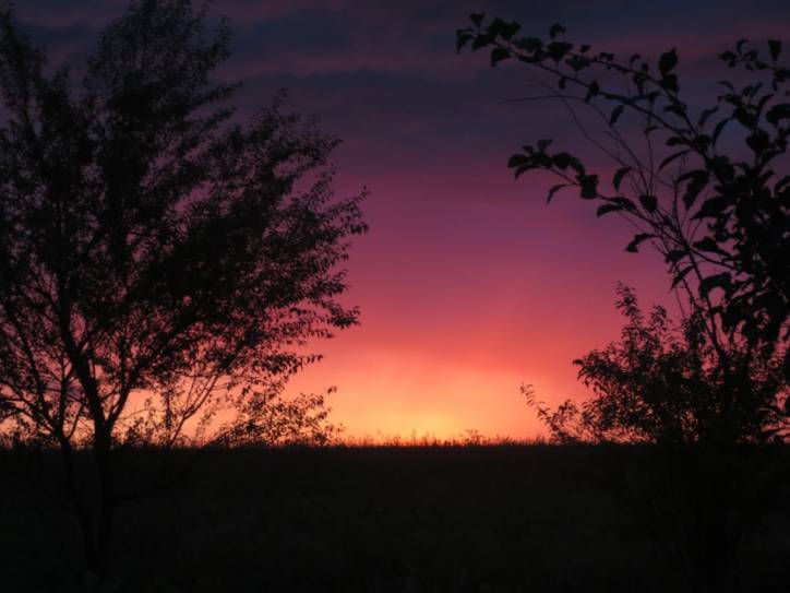 Мір. Краявіды