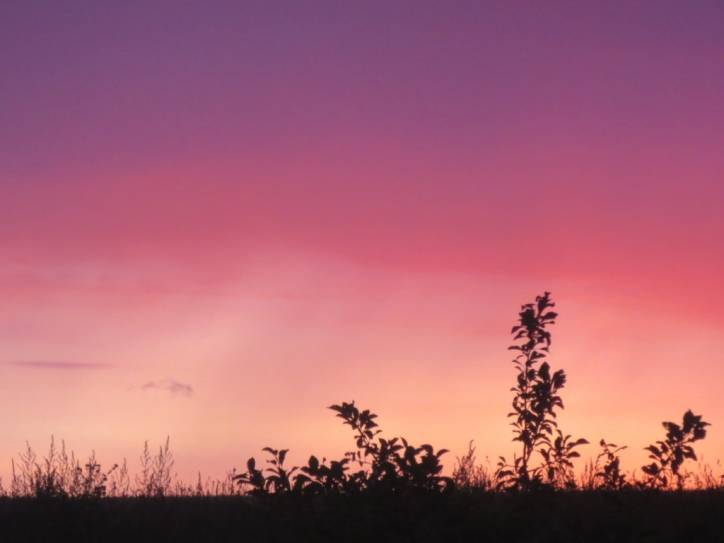 Мір. Краявіды