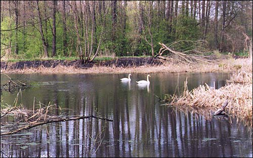 Novadzieviatkavičy. Estate of Ślizień