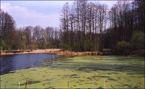 Novadzieviatkavičy. Estate of Ślizień