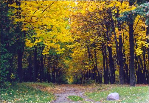 Lida. Ulice miasta 