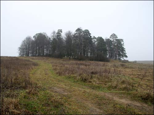 Мір. Могілкі татарскія (Мізар)