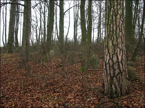  - Могілкі татарскія (Мізар). 