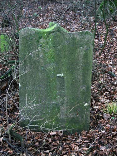  - Могілкі татарскія (Мізар). 