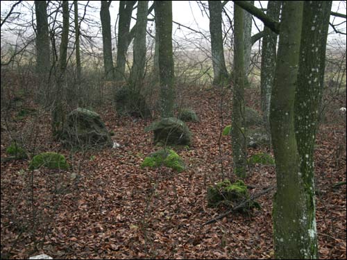  - Могілкі татарскія (Мізар). 