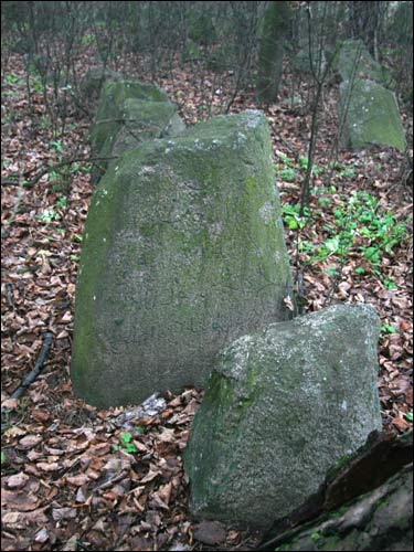  - Могілкі татарскія (Мізар). 