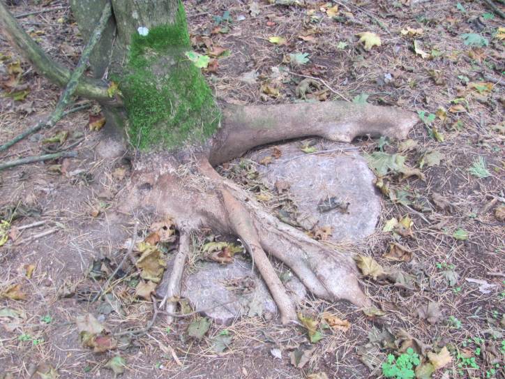 Mir. cemetery Catholic