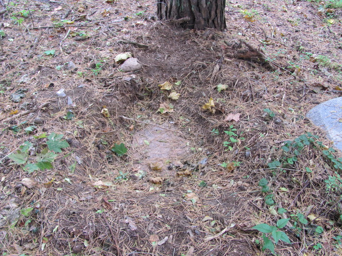 Mir. cemetery Catholic
