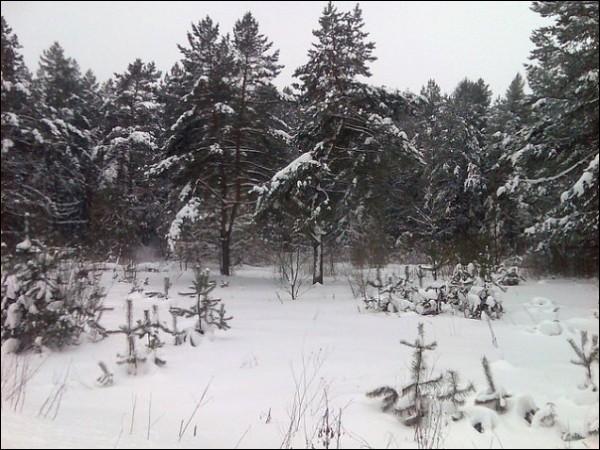 Райца. Пейзажи 