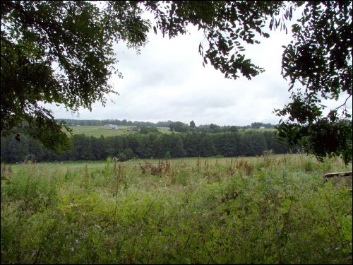 Валевка. Пейзажи 