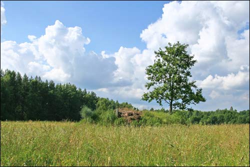 Kołdyczewo. Umocnienia obronne 