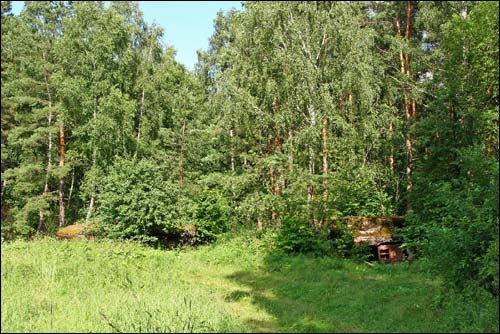 Kołdyczewo. Umocnienia obronne 