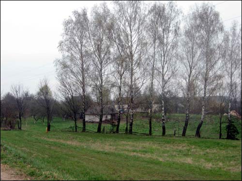 Landscapes  .   - Landscapes .