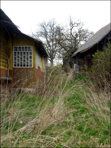 Landscapes  .   - Landscapes .