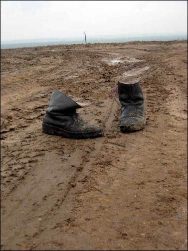 Landscapes  .   - Landscapes .