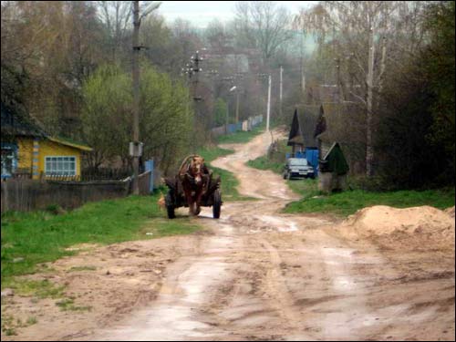 Landscapes  .   - Landscapes .