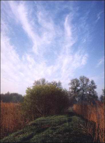  - Landscapes . 