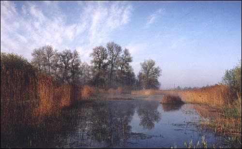 Novadzieviatkavičy. Landscapes 