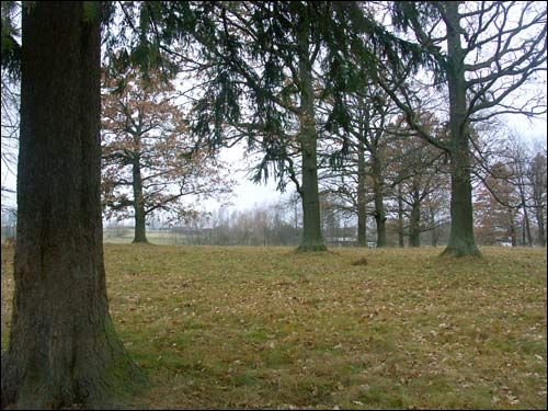 Першамайскі (Обрынь). Краявіды 