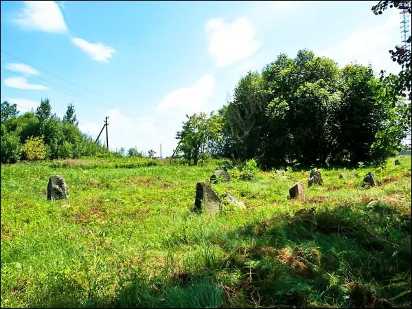  - cemetery Jewish. Old Jewish Cemetery in Kamienka