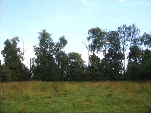  - Manor . 