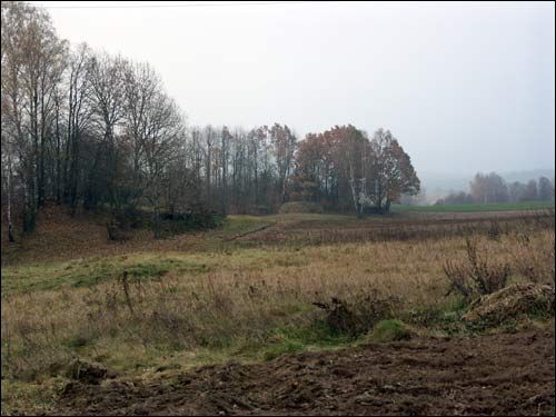 Городечно (Слободка). Пейзажи 