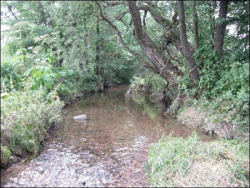 Городечно (Слободка). Пейзажи 