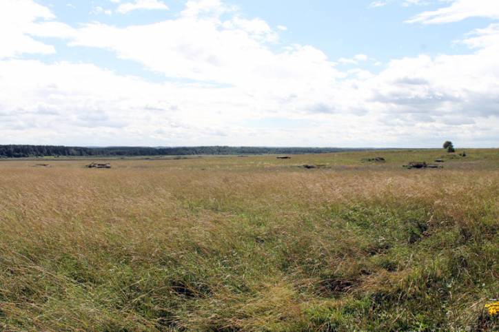 Čuchny. Defensive Fortifications 