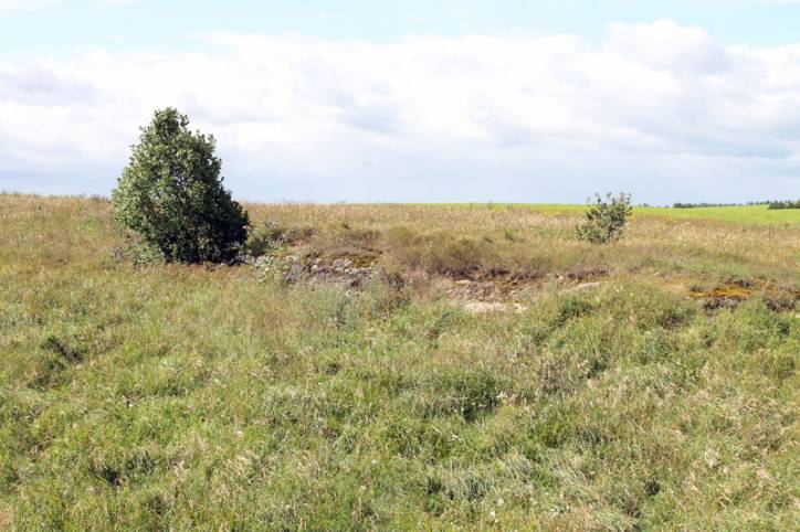 Čuchny. Defensive Fortifications 