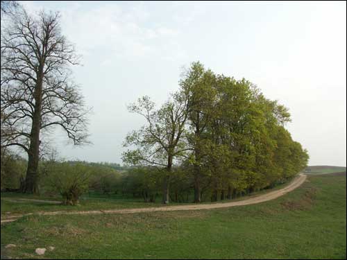Zaračany. Manor «Choroszewicze III»