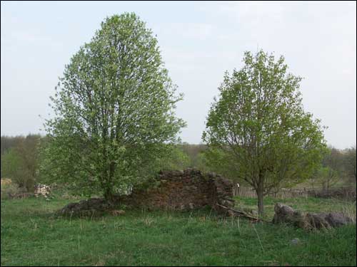 Zaračany. Manor «Choroszewicze III»