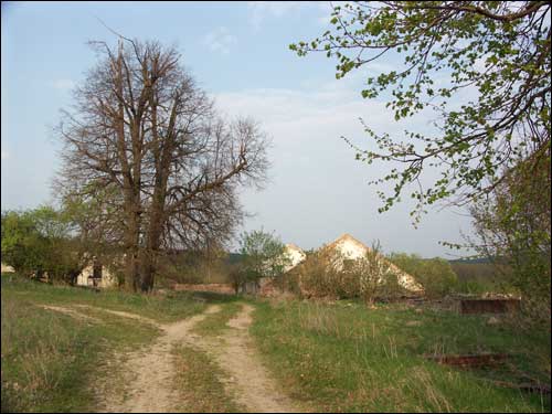 Zaračany. Manor «Choroszewicze III»