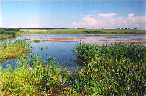 Дварчане. Краявіды 