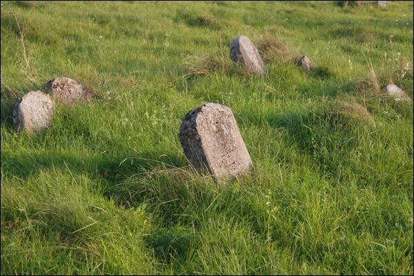 Mołczadź. Cmentarz żydowski