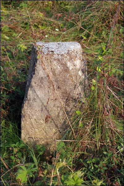 Mołczadź. Cmentarz żydowski