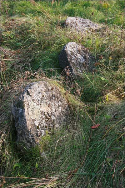 Mołczadź. Cmentarz żydowski